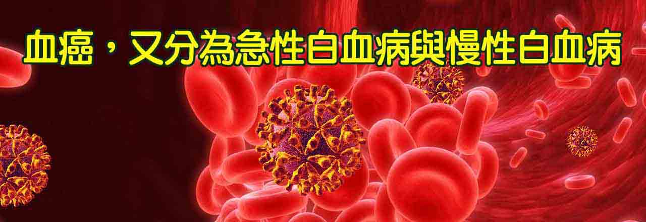 中醫白血病、血癌治療